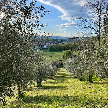 Il Nido Di Margherita San Giovanni Valdarno Ngoại thất bức ảnh