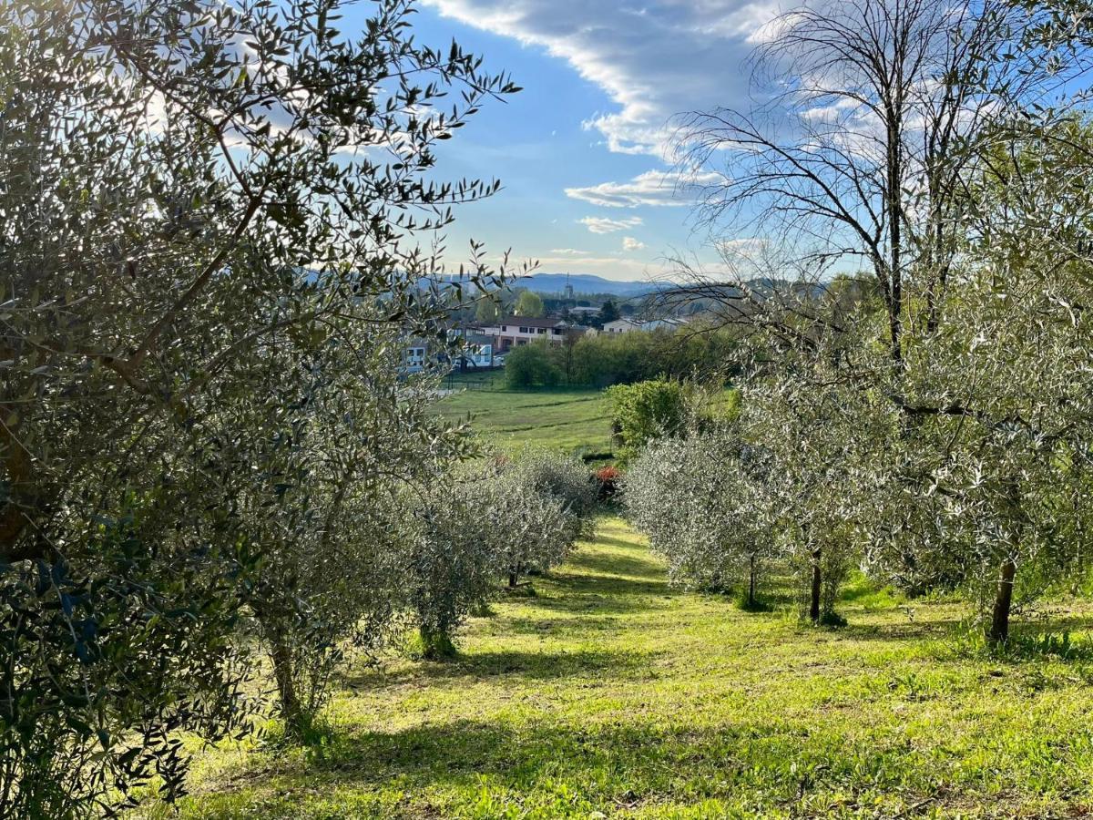 Il Nido Di Margherita Villa San Giovanni Valdarno Ngoại thất bức ảnh